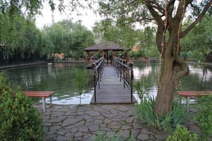 Ранчо у Виктора 15