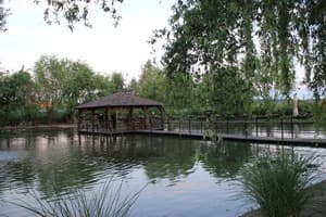 Ранчо у Виктора 11