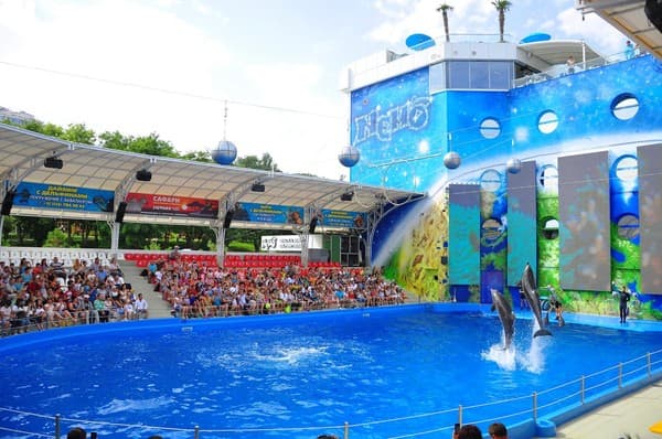 Resort & Spa Hotel NEMO 60
