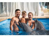 Resort & Spa Hotel NEMO 55