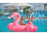 Resort & Spa Hotel NEMO 63