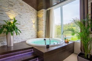 Спа-отель Resort & Spa Hotel NEMO. Люкс двухместный вид на город +1 3
