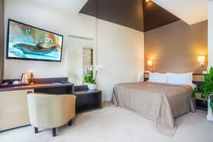 Спа-отель Resort & Spa Hotel NEMO. Люкс двухместный вид на город +1 4