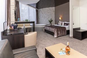 Спа-отель Resort & Spa Hotel NEMO. Люкс двухместный вид на город +1 5