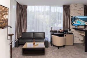 Спа-отель Resort & Spa Hotel NEMO. Люкс двухместный вид на город +1 6