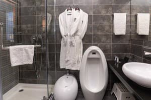 Спа-отель Resort & Spa Hotel NEMO. Люкс двухместный вид на город +1 10