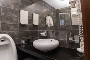 Спа-отель Resort & Spa Hotel NEMO. Люкс двухместный вид на город +1 11