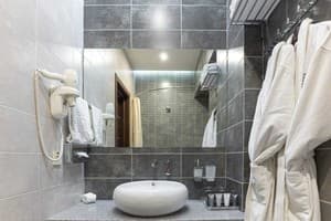 Спа-отель Resort & Spa Hotel NEMO. Стандарт двухместный вид на парк 5