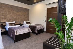 Спа-отель Resort & Spa Hotel NEMO. Стандарт двухместный вид на парк 1