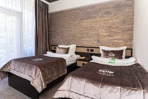 Спа-отель Resort & Spa Hotel NEMO. Стандарт двухместный вид на парк 2