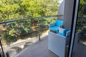 Спа-отель Resort & Spa Hotel NEMO. Стандарт двухместный вид на парк 4