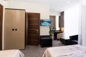 Спа-отель Resort & Spa Hotel NEMO. Стандарт двухместный вид на парк 3