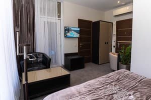 Спа-отель Resort & Spa Hotel NEMO. Стандарт одноместный вид на парк 3