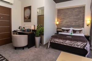 Спа-отель Resort & Spa Hotel NEMO. Стандарт одноместный вид на парк 2