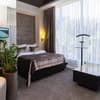 Спа-отель Resort & Spa Hotel NEMO. Стандарт одноместный вид на парк 1