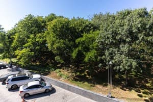 Спа-отель Resort & Spa Hotel NEMO. Стандарт одноместный вид на парк 4