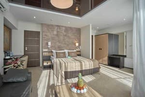 Спа-отель Resort & Spa Hotel NEMO. Улучшенный двухместный вид на город +1 6