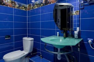 Отель Royal. Бизнес двухместный  10