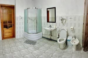 Отель Sakvoyage. Делюкс трехместный  3