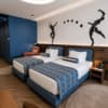 Гостинично-ресторанный комплекс Spatium Medical & Wellness Hotel. Супериор двухместный с отдельными кроватями 1