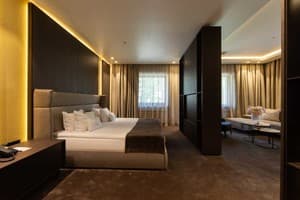 Санаторий Verkhovyna Resort Medical & Wellness. Люкс двухместный  1