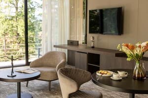 Санаторий Verkhovyna Resort Medical & Wellness. Люкс двухместный Верховина Делюкс 1