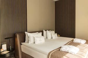 Санаторий Verkhovyna Resort Medical & Wellness. Люкс двухместный Верховина Делюкс 3