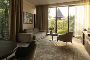 Санаторий Verkhovyna Resort Medical & Wellness. Люкс двухместный Верховина Делюкс 5