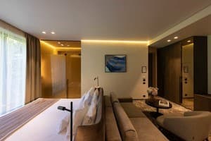 Санаторий Verkhovyna Resort Medical & Wellness. Напівлюкс двомісний 2
