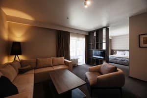 Санаторий Verkhovyna Resort Medical & Wellness. Супериор двухместный улучшенный 3