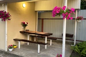 Весела Бджілка 1