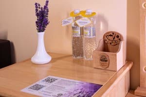 Спа-отель VitaPark Солнечный Прованс. Полулюкс двухместный DOUBLE 3