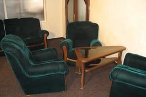 Зеленый Гай 11