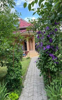Злотория 4