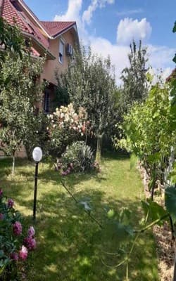 Злотория 12