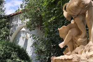 Золотой фазан 2