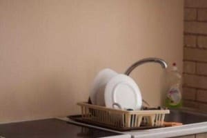 на Янгеля 10