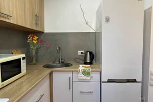 Квартира студия на ул. Патриотическая 56-А. Люкс трехместный  12